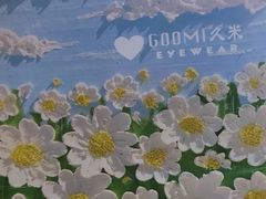 -GOOMI久米眼镜·蔡司·依视路·明月官方授权店(龙德紫金店)