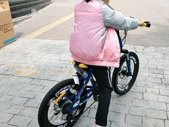 -道路口单车爱瓦士dahon大行