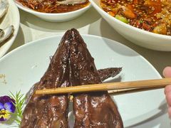 -杨氏青龙虾·羊蝎子(托乐嘉店)