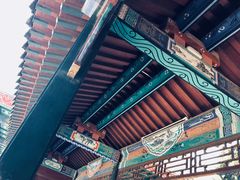 -曹州牡丹园