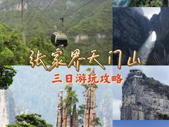 -张家界天门山国家森林公园