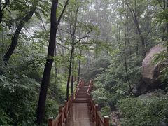 -大岭沟猕猴桃谷风景区