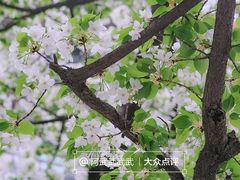 -四川大学(望江校区)