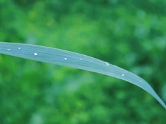 -贵阳市花溪国家城市湿地公园