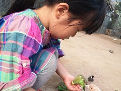 -呀路古热带植物园