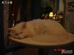 -Babycat私家御饼屋(龙头路一店)