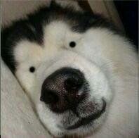 -青春飞扬网咖(剪刀石头布店)