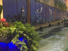 -bluefrog蓝蛙(水游城店)