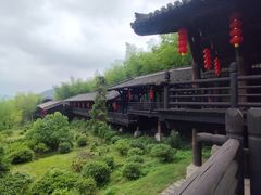 -大唐贡茶院