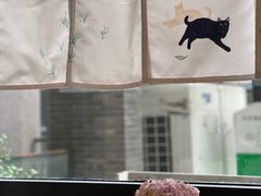 -猫里有甜