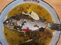 -老宋家鱼馆(北滨路店)