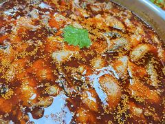 红汤鱼火锅-川渔居—鱼火锅(八方汇店)
