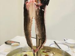招牌千层跳水鱼-精致顺德菜(琶洲店)