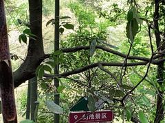 -莫干山风景区
