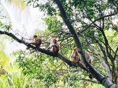 -南湾猴岛+椰田古寨一日游