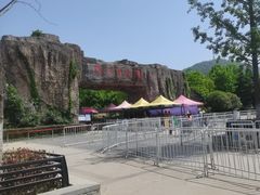 -合肥野生动物园