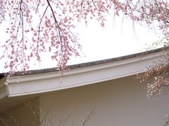 -醍醐寺