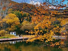 -玉渡山自然风景区