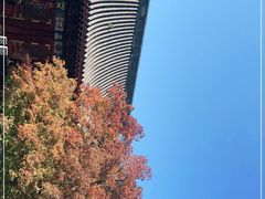-香山公园