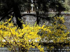 -元大都城垣遗址公园