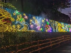-灵玲国际马戏城