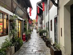 -运河游船(武林门码头)