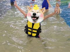 -四季贵州·山地温泉水世界