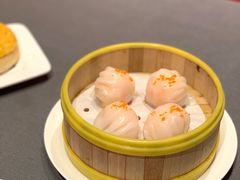 -采蝶轩
