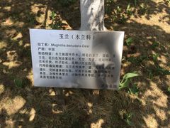 -丰台花园