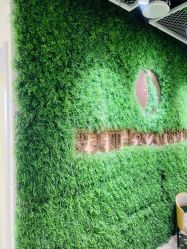 -变美丽半永久纹眉连锁·机器野生眉•洗眉