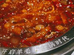 -一斗火锅·招财羊毛肚(泰吉滨江店)