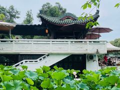 -桂湖森林公园