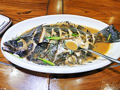 牙片鱼-俏东方·海味水饺·青岛菜(崂山店)