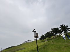 -小麦岛公园