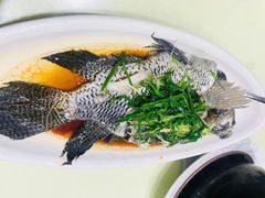 -龙记烧腊茶餐厅(常德路店)