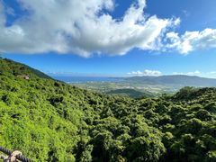-三亚亚龙湾金棕榈度假酒店