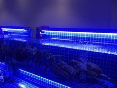 -新加坡瑞珍•海河观景餐厅