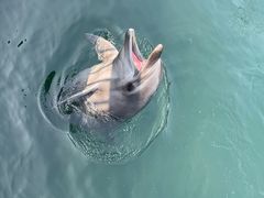 -鹿儿岛水族馆