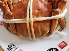 -蟹宝酒楼•农家菜(古城北路店)