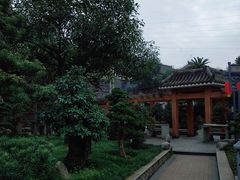 -老幺泉水鸡