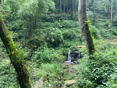 -青城山