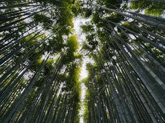 -心斋桥