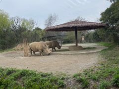 -宁波野生动物园