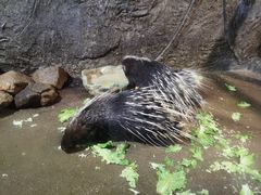 -青青世界