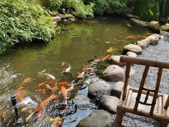 -一品烧农庄·佛山本地特色菜