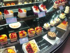 -蒲公英(五里店)