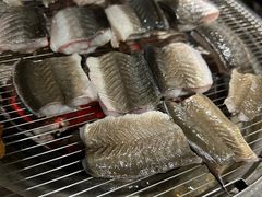 -本炙炭烤·蒲烧活鳗料理店(金沙洲店)