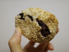 豆馅烧饼-老回回饺子馆(海洋馆店)