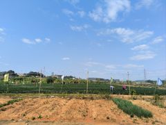 -长洲岛都市农业公园