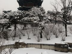-迎泽公园